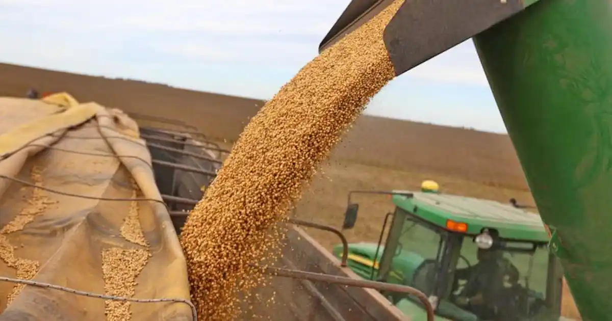 En Entre Ríos, las retenciones se llevan U$S 93 millones por año