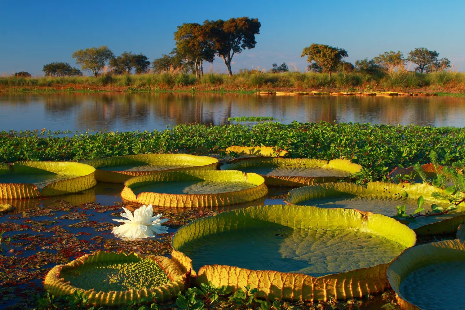 Finde XXL: escapadas a pocas horas de Rafaela para disfrutar de río, pesca y gastronomía