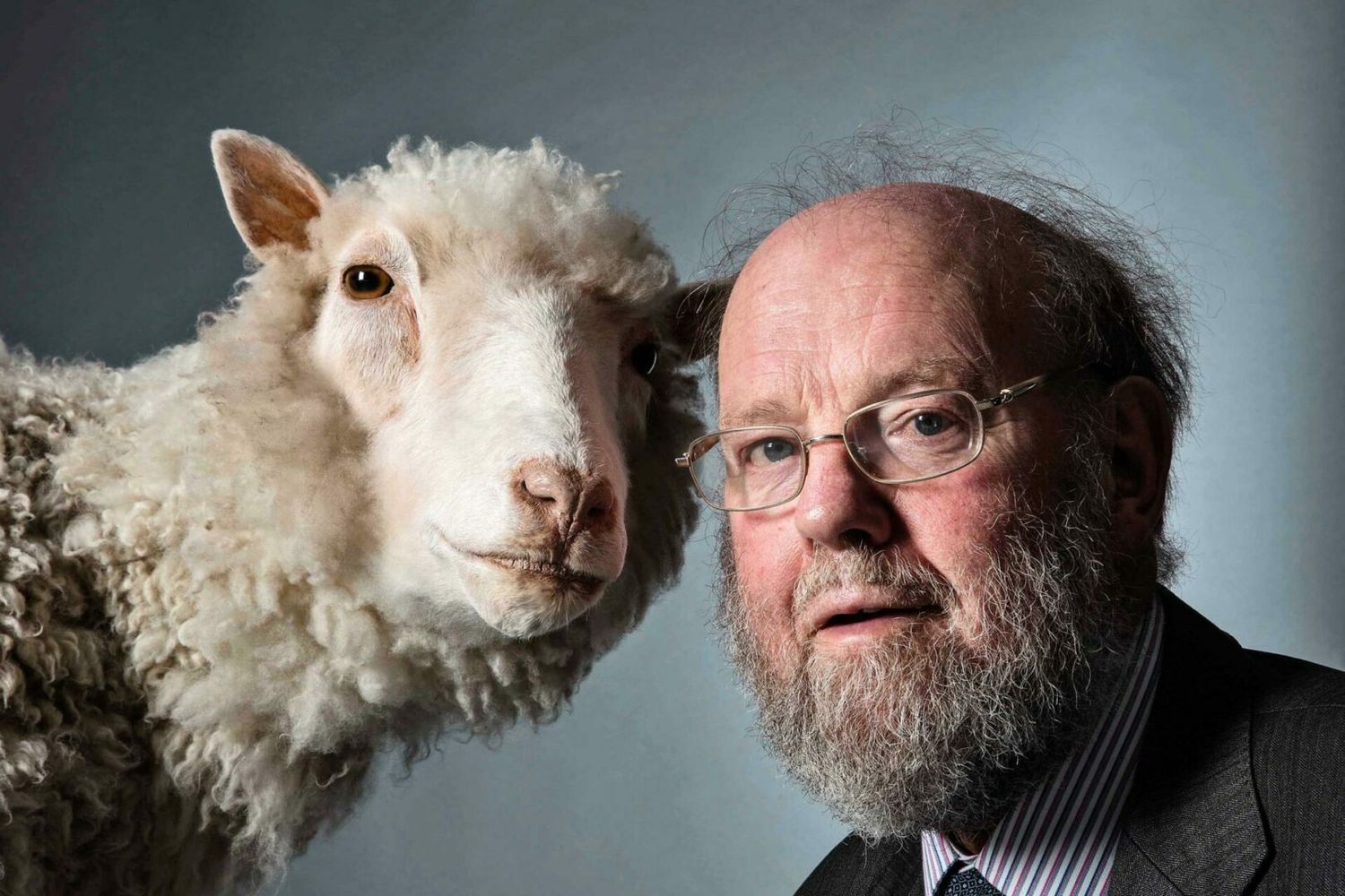 Adiós al «titán del mundo científico» creador de la oveja Dolly