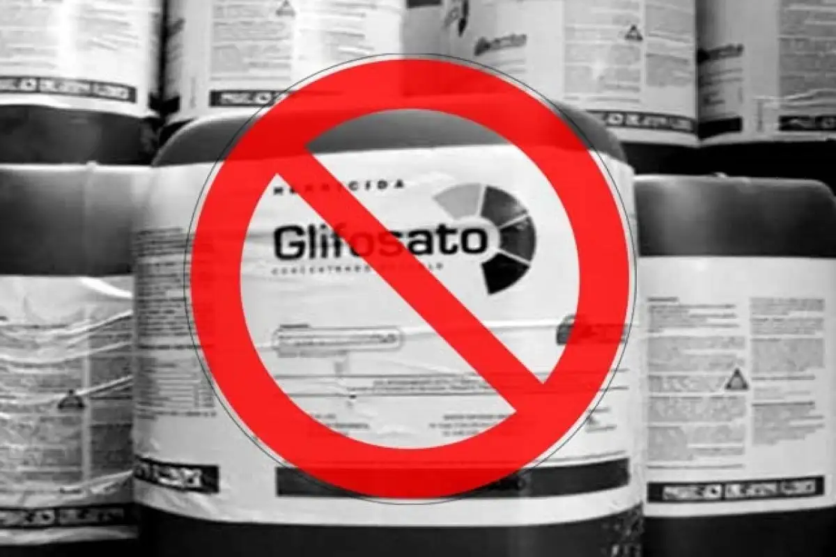 Glifosato cero: se elevó el proyecto de ordenanza para su prohibición