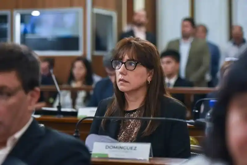 Domínguez: "La responsabilidad política consiste en actuar antes de que el problema sea irreversible"