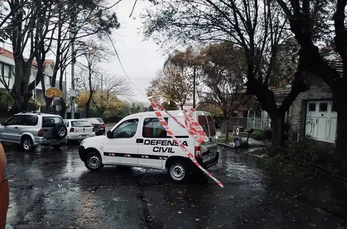 Temporal en Mar del Plata: Árboles caídos, voladura de techos y problemas eléctricos
