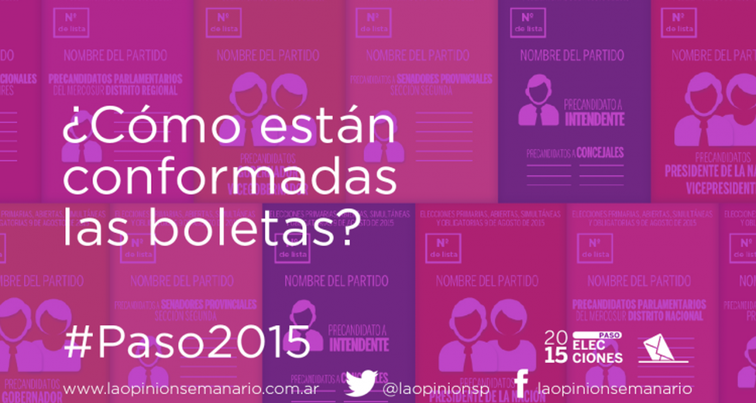 Paso 2015: ¿Cómo están conformadas las boletas?