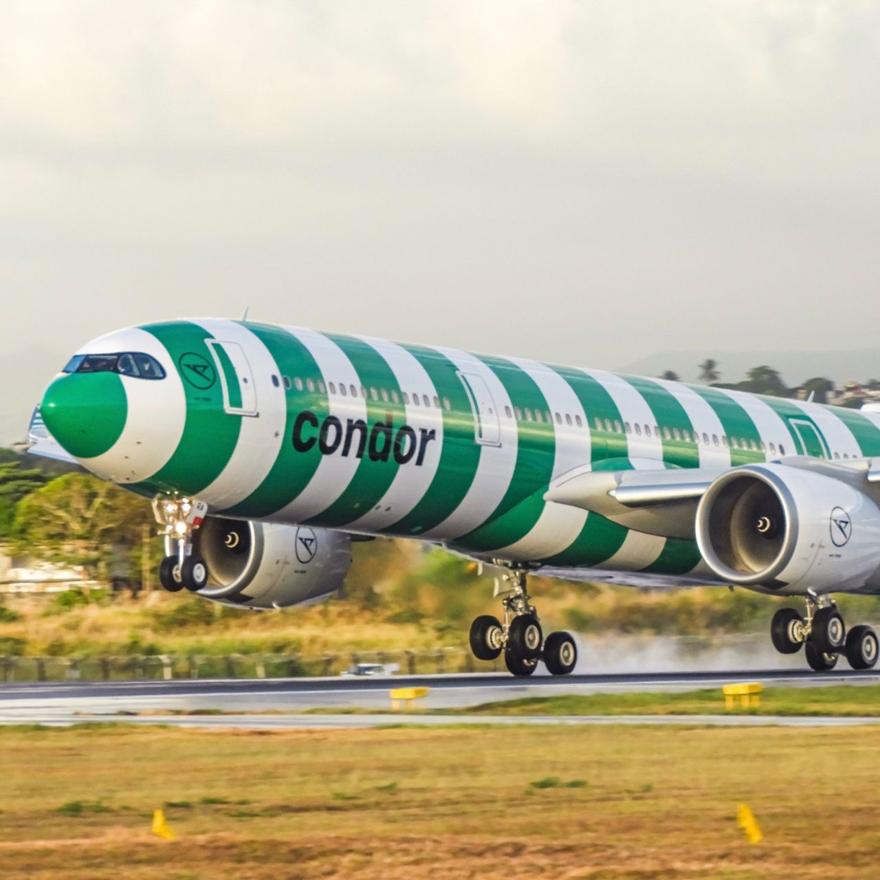 Debutó el primer A330neo «rayado» de Condor