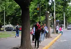 Proponen proyectos para mejorar la circulación y el transporte público