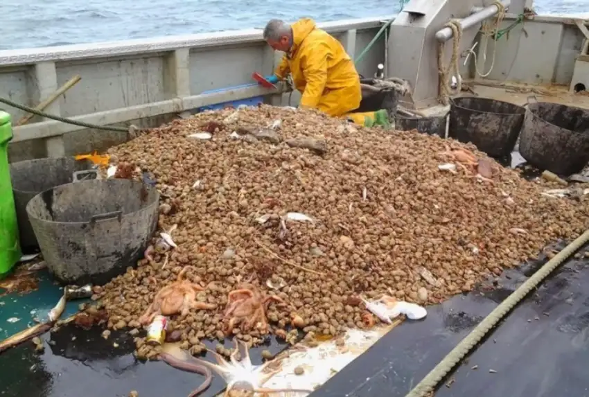 Pesca: preocupación del Ejecutivo marplatense por brote de coronavirus en Trelew