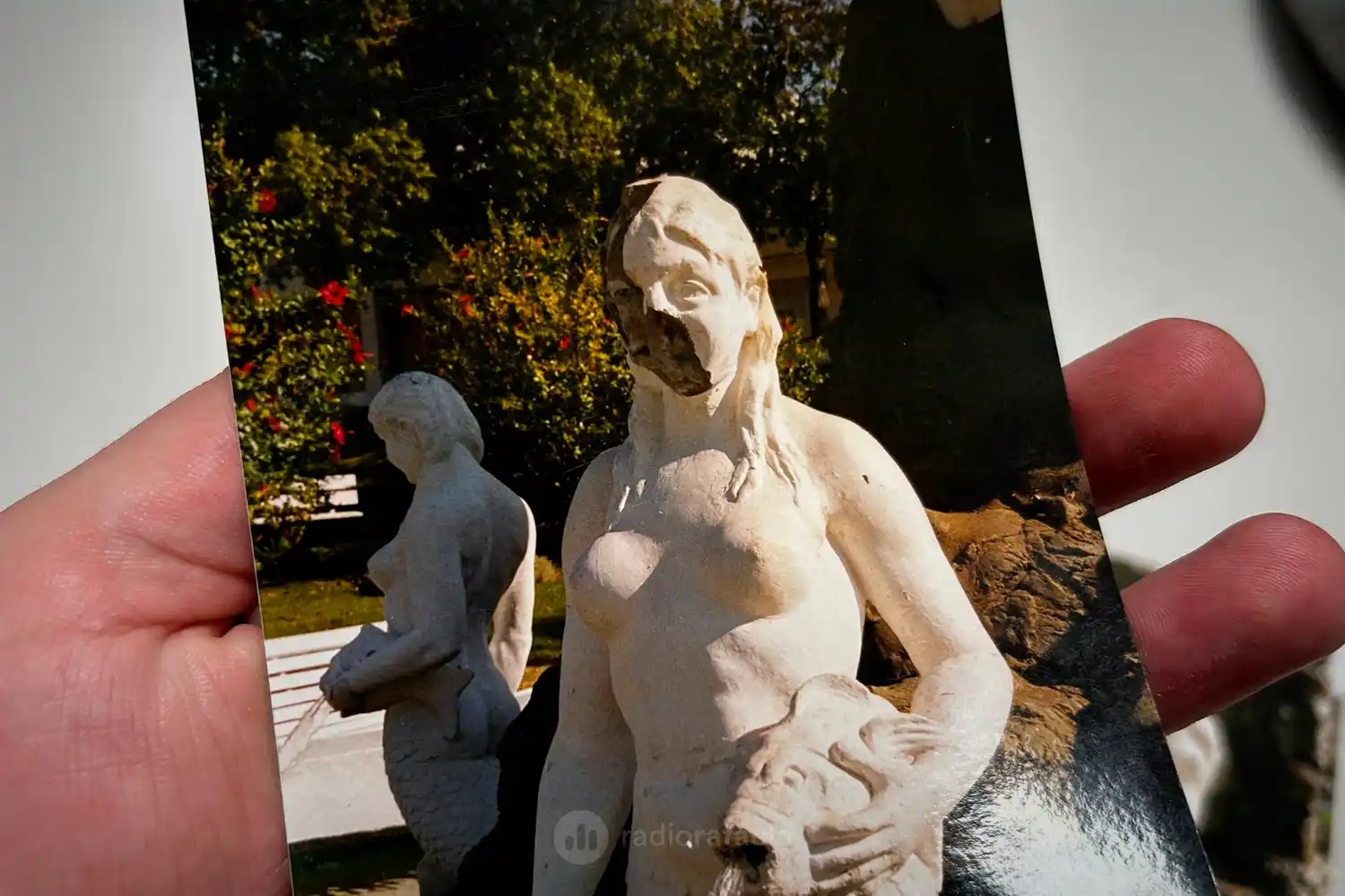 roberto grazioli - 4