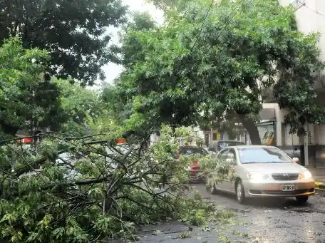 Temporal: Las consecuencias de la tormenta en La Plata