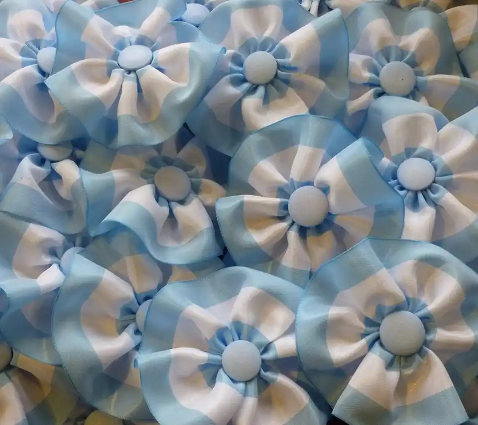 Reprogramación de actividades enmarcadas en la conmemoración del 25 de Mayo