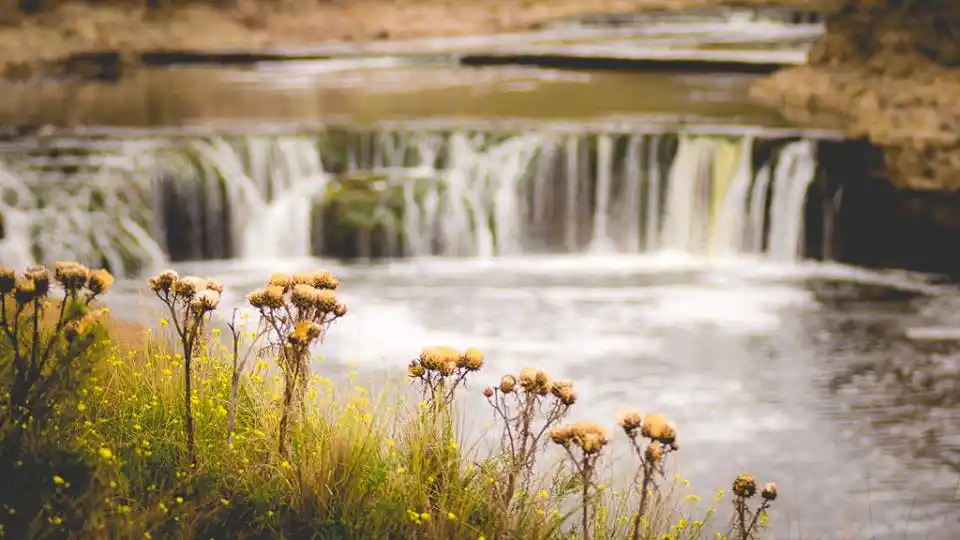 Burbujas turísticas bonaerenses: Una propuesta para viajar que debe encontrar su forma provincial