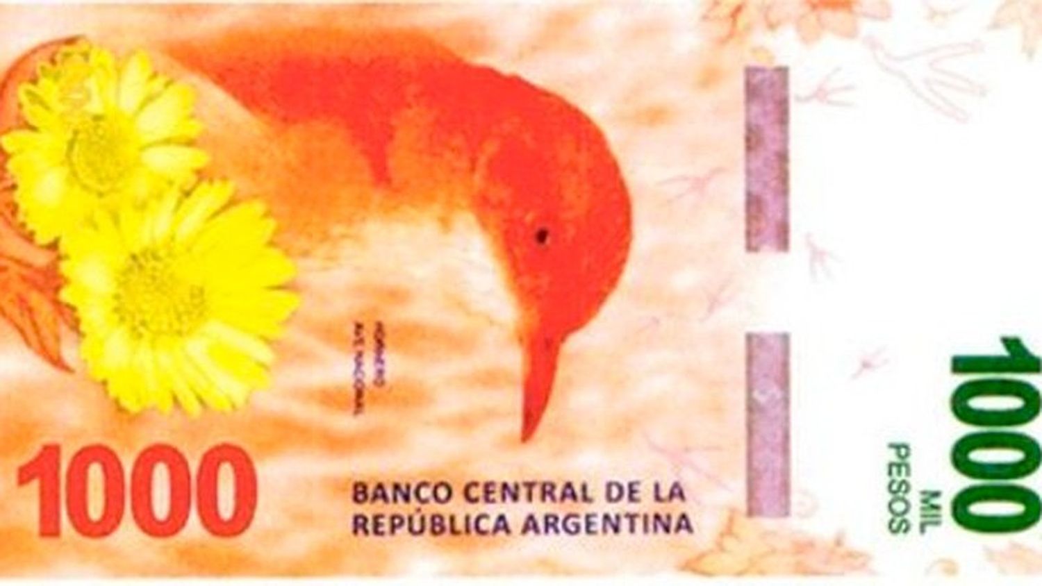 El BCRA presentará el billete de $1.000 con la figura del hornero