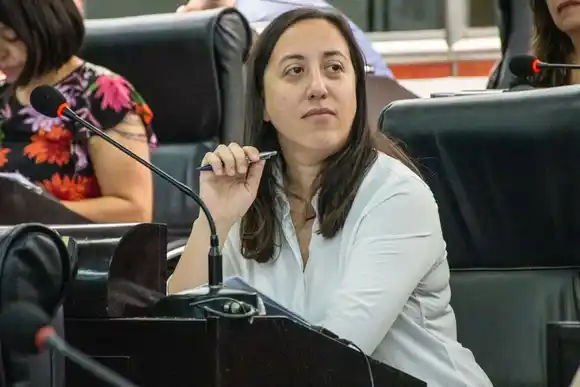 Sotolano sobre el FMI: “Autorizamos al gobierno a tomar deuda”, dijo la diputada de Juntos