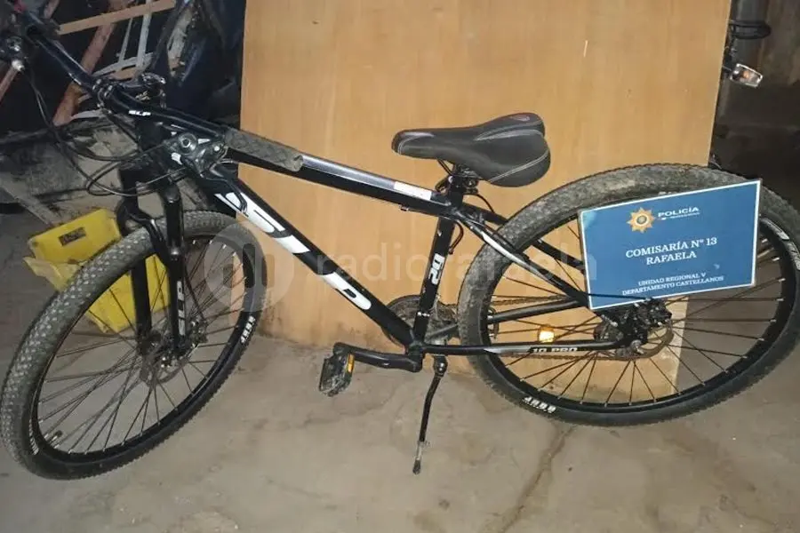 Abrió el garaje, se distrajo unos minutos y desapareció su bicicleta