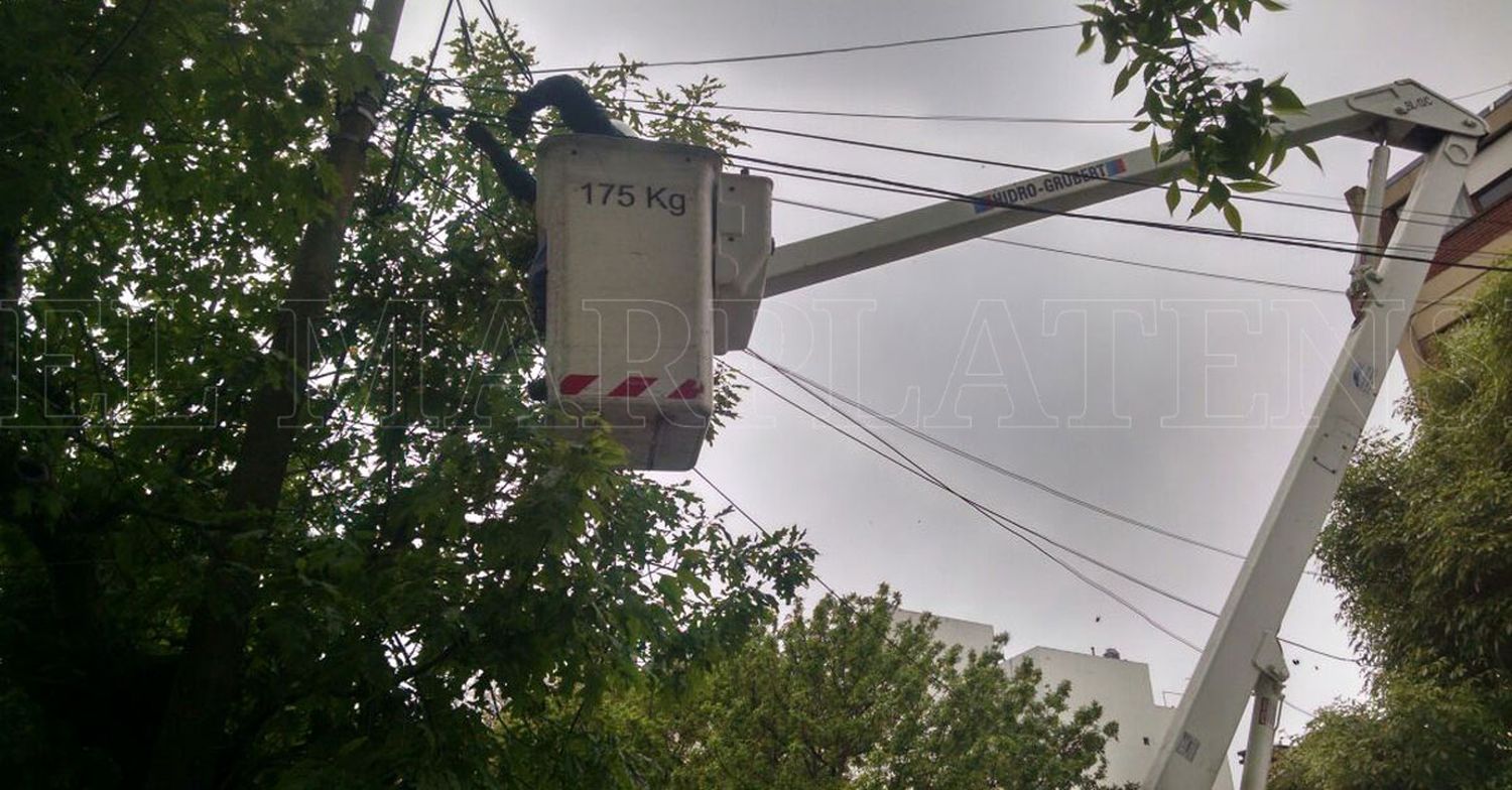 Diversos barrios sin luz por el temporal