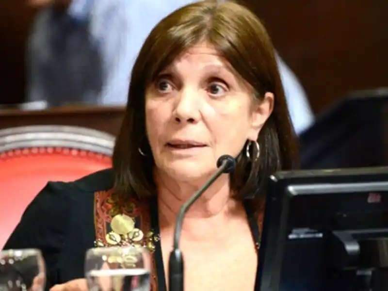 El proyecto lleva la firma de la senadora Teresa García.