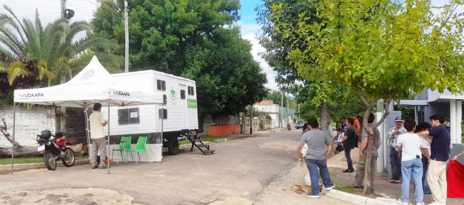 Castraciones gratuitas en los barrios