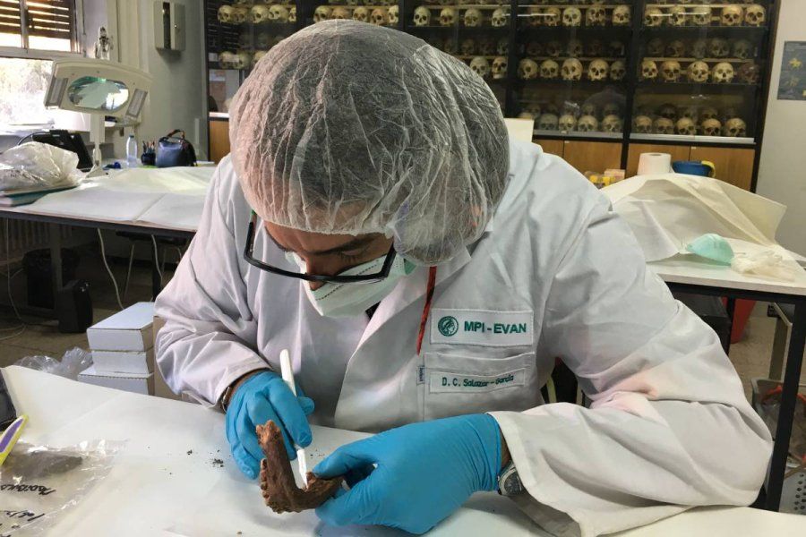 Un estudio vincula la hepatitis grave detectada en niños con el coronavirus