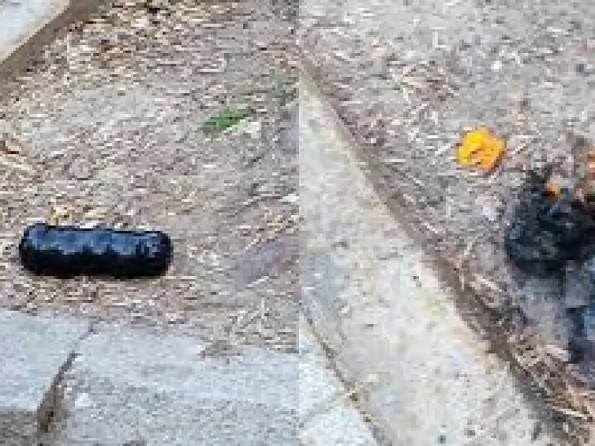 Detonaron un paquete sospechoso frente a la casa de un juez de la causa Vialidad