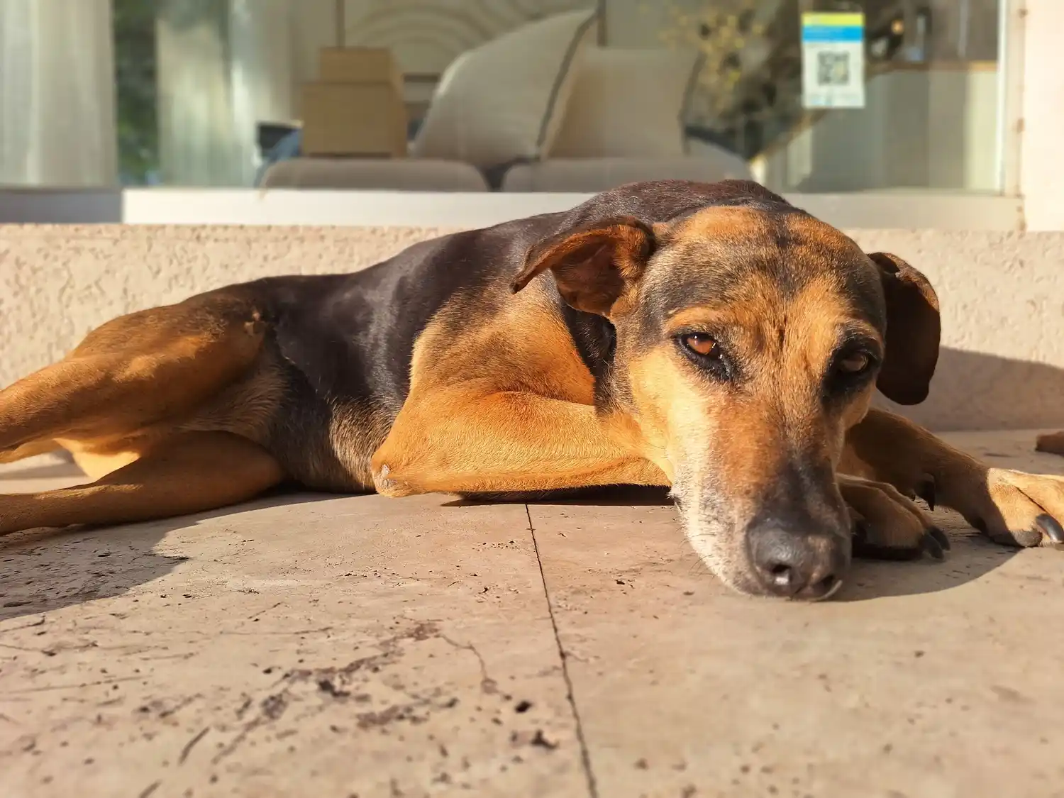 Hace varios años que Chu Chu Ua vive en el centro sanfrancisqueño