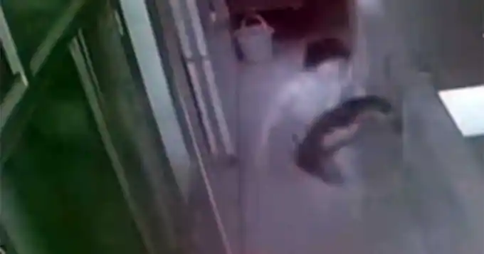 Impactante video: arrojó al vacío a su sobrino recién nacido
