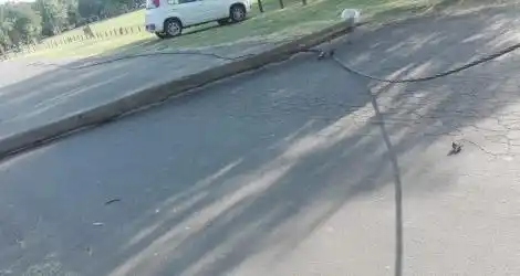Cayó un poste en el Paseo Público