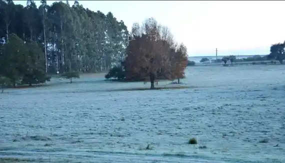 Martes helado: la temperatura descendió hasta 7,6 grados bajo cero en Entre Ríos