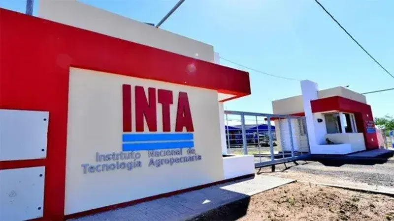 Justicia frena el plan de ajuste del Gobierno en el Inta: suspensión de cierres, despidos y transferencias de inmuebles