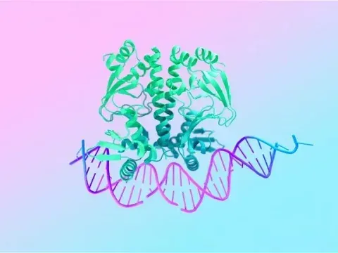 Google busca revolucionar la medicina