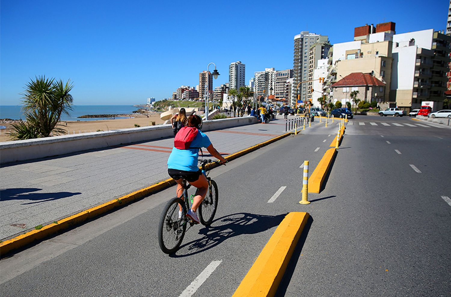 Bicisendas y bicicletas municipales: ¿Qué piensan los marplatenses sobre su implementación?