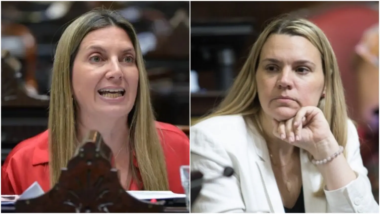 Lospennato deja el Congreso y su banca del PRO pasa a una dirigente bonaerense que se suma a La Libertad Avanza