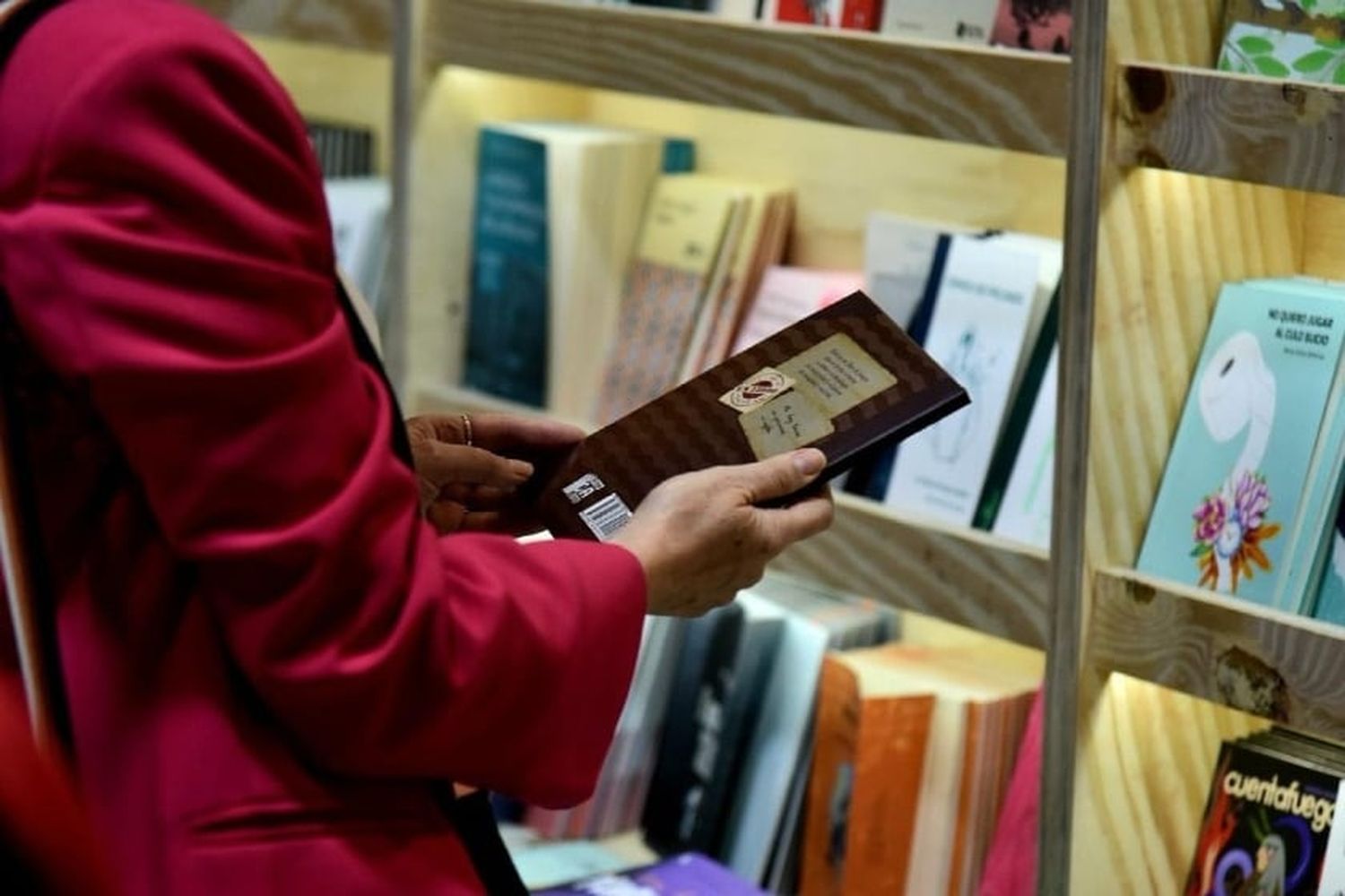 Se despide la Feria Internacional del Libro en Rosario tras diez días