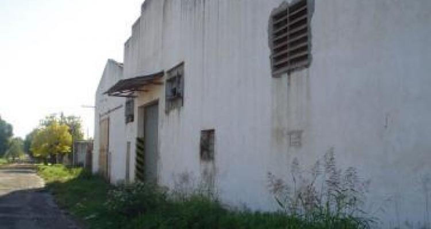 Pagaron $ 787.000 por el resto de Arco de Oro