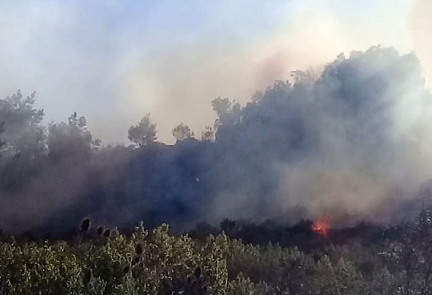 Alerta por peligro de incendios debido a la baja humedad y las altas temperaturas