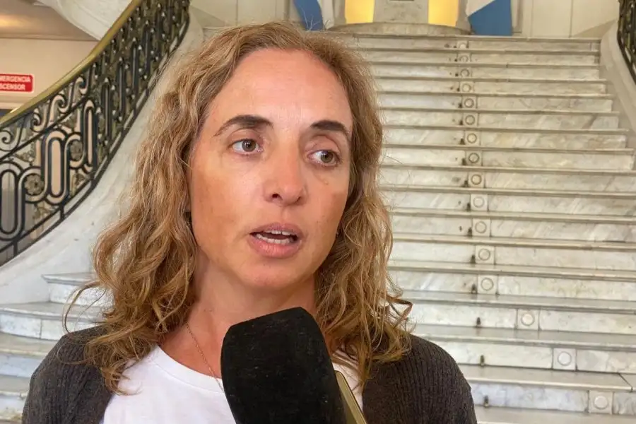 Carolina Cudós, directora de Epidemiología de la Provincia