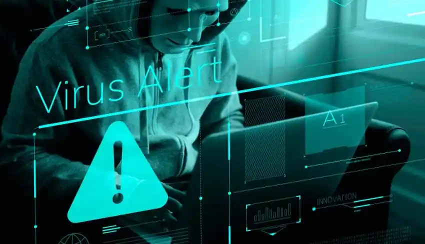 Botnets, phishing y malware: los ataques más habituales y cómo protegerse