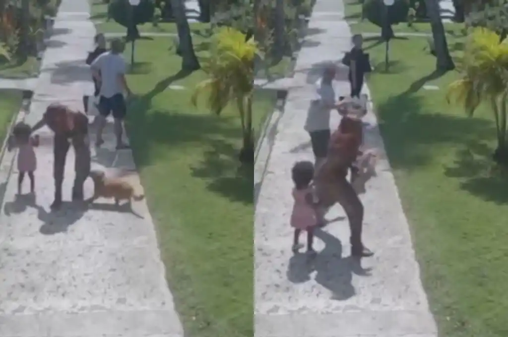 Defendió a su hija de un perro