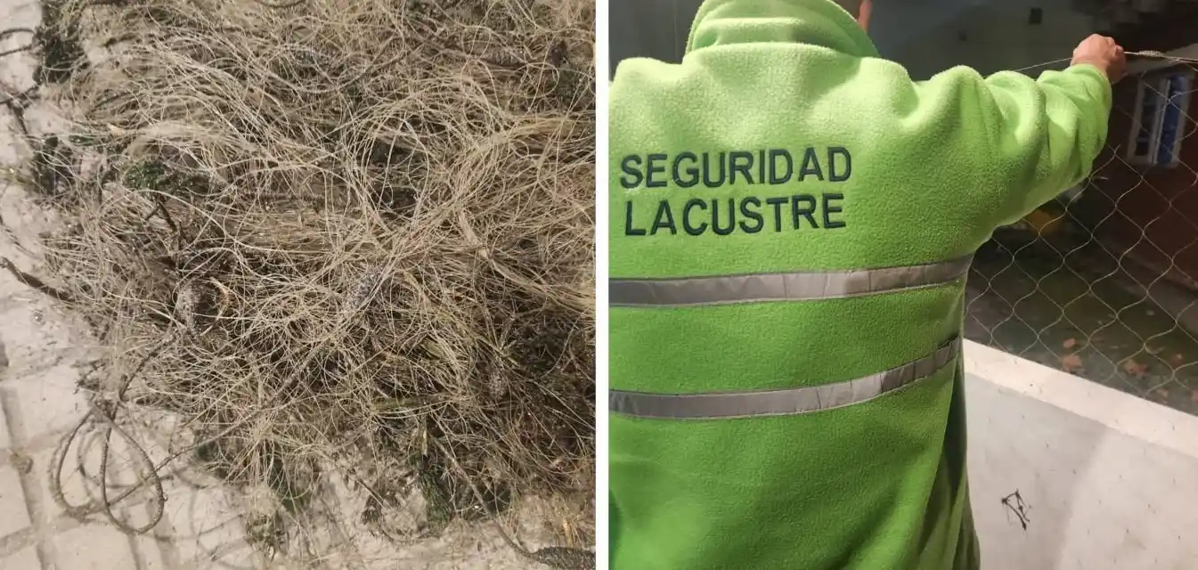 Intervención municipal en Chascomús: sorprenden a pescadores furtivos con red en el Puente Girado