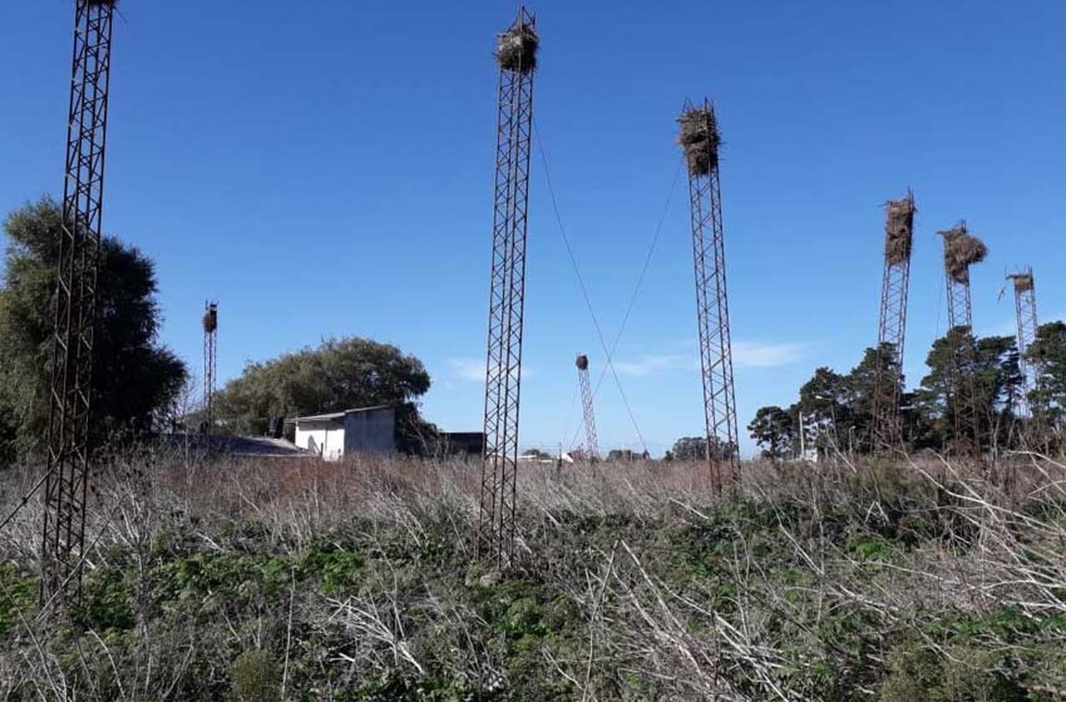 "Solo pedimos que saquen las columnas en riesgo y limpien el predio"