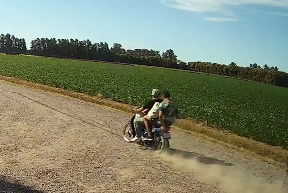 Las cámaras los captaron cuando regresaban tras robar los duraznos.