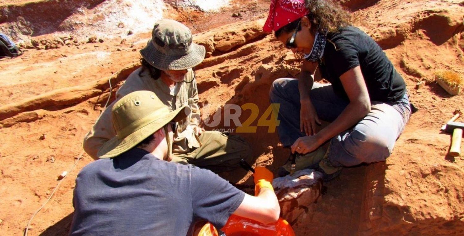 Hallaron por primera vez restos de un dinosaurio carnívoro en Salta