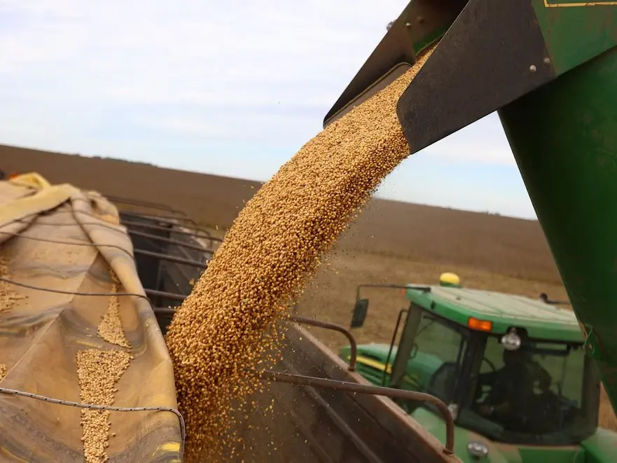 Las exportaciones de soja argentina quedaron bajo la lupa