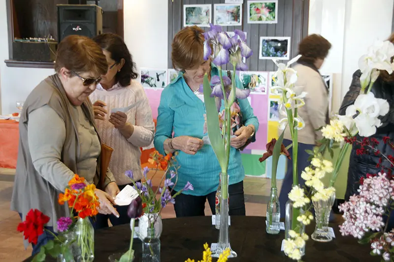 Té del grupo Garden