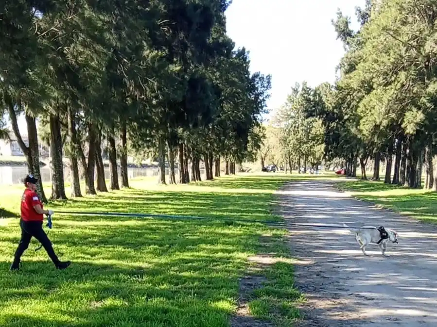 “Siempre que nos necesitan, somos los que vamos al frente”