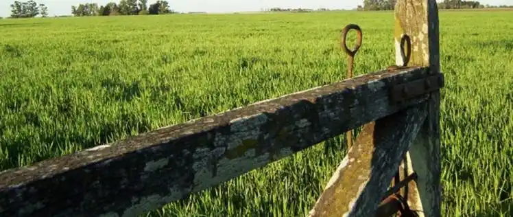 Se pedira el certificado del censo agropecuario para trámites bancarios