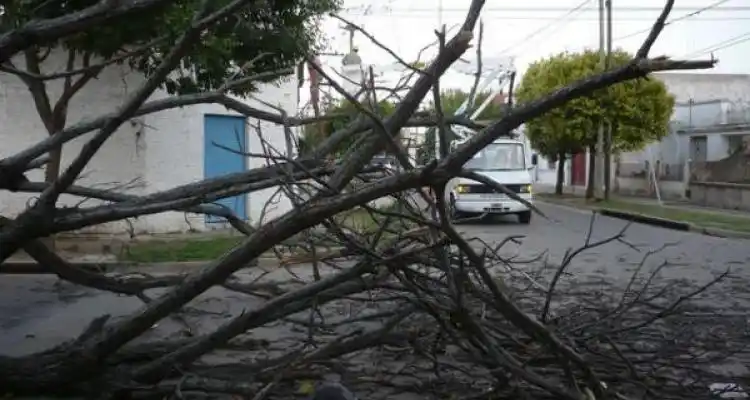 No llovió pero destrozó