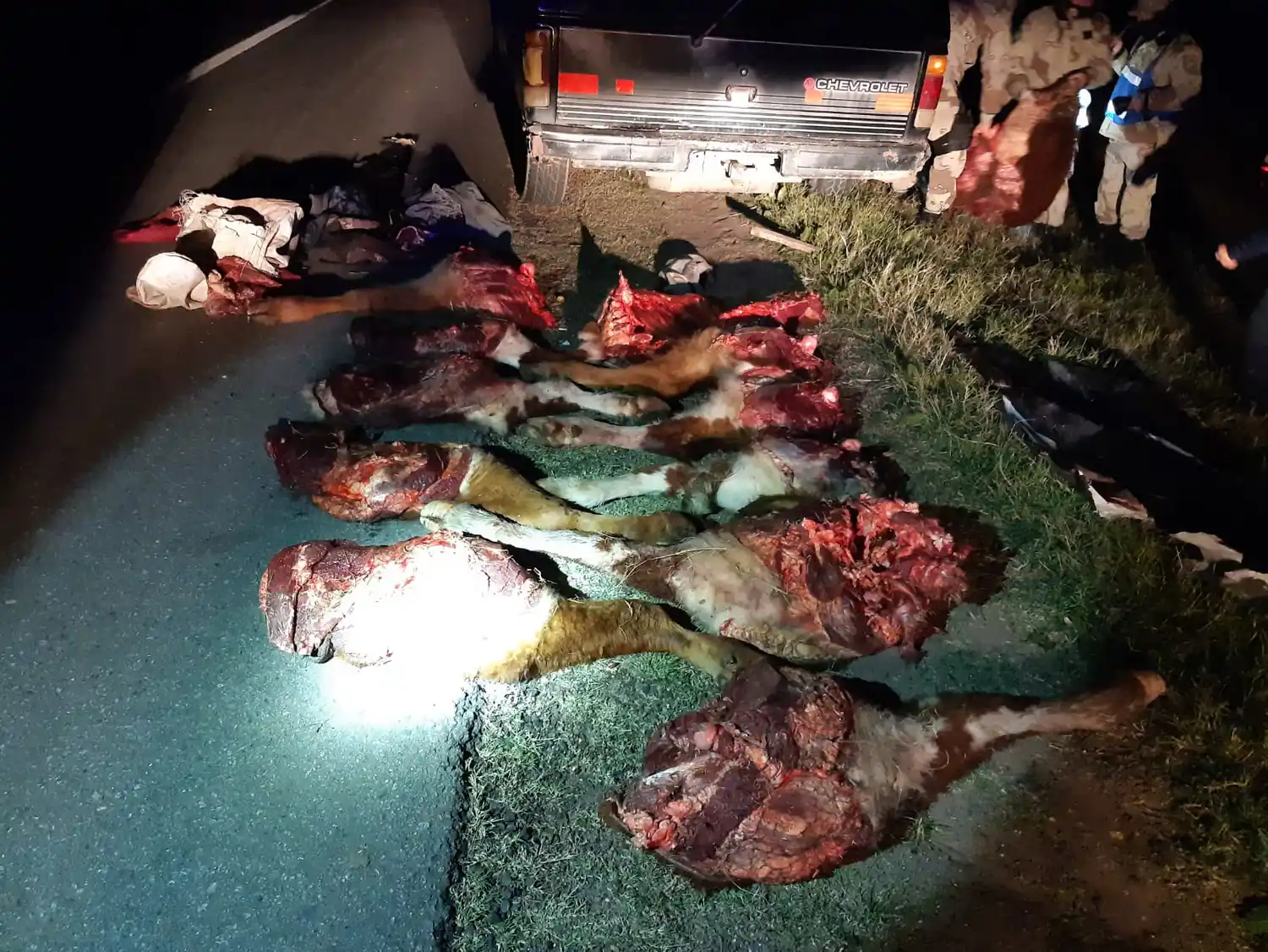 Animales faenados: Ruralistas de Gualeguaychú aguardan por una condena judicial contra los implicados