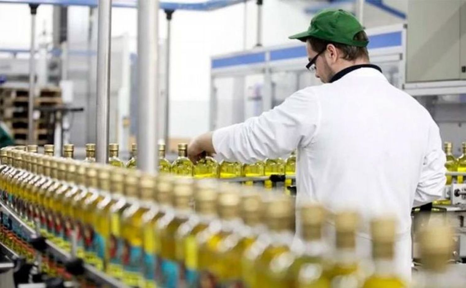 Argentina logra récord en exportaciones de aceite y subproductos de girasol tras 18 años