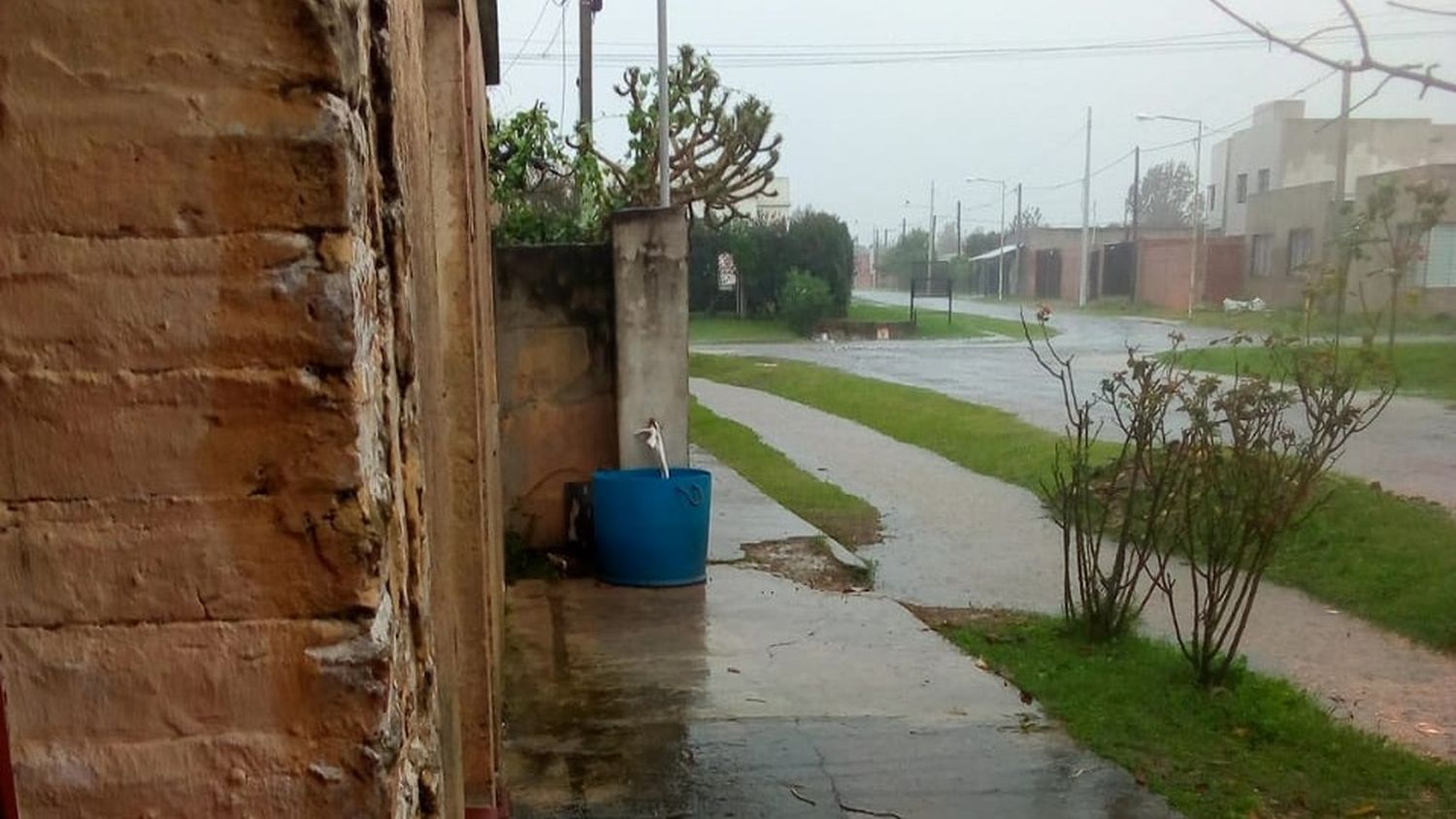 Así se encuentra Gomendio y Berutti