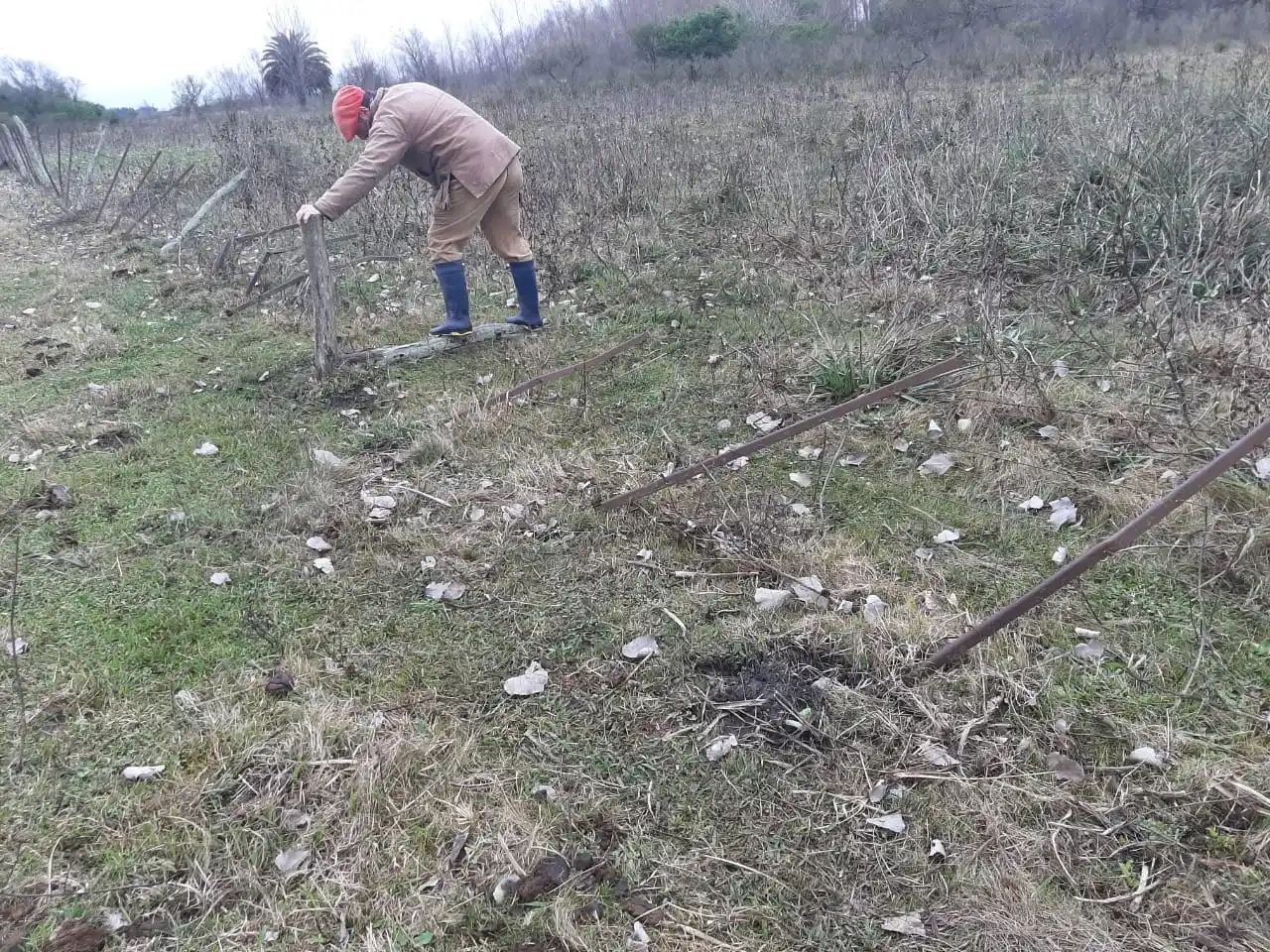 Robaron en un campo cercano a la ciudad