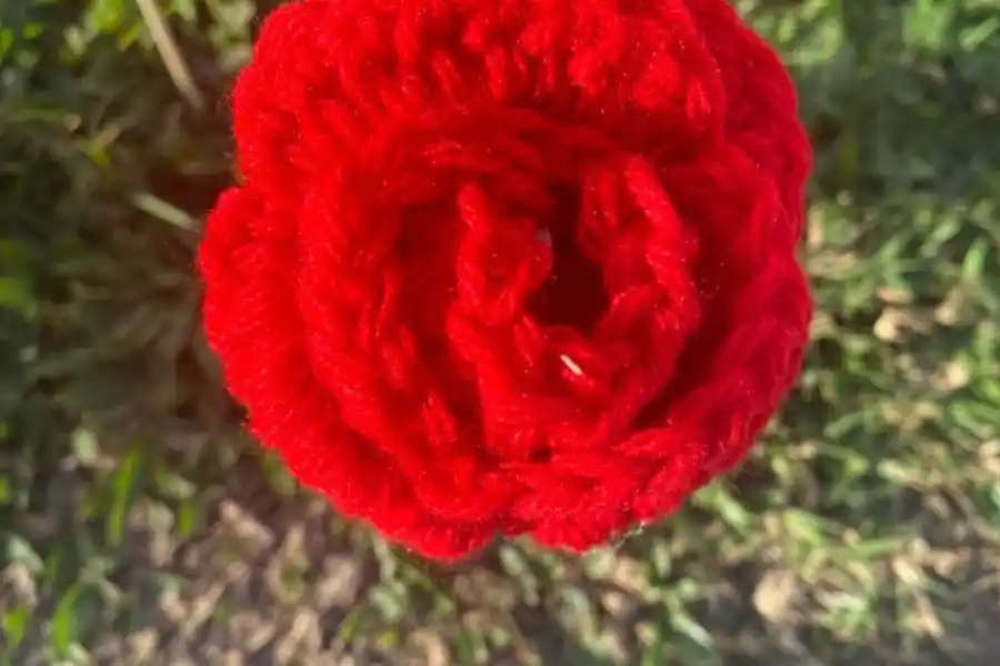 Flores al crochet, una de las técnicas que utiliza el colectivo Bomba de Lana
</p><p>IG: @bomba de lana